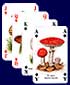 Mushroom Gifts