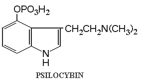 psilocybin molecule