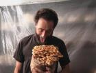 Pholiota nameko fruiting from sawdust-woodchips